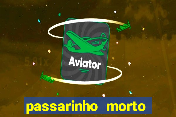 passarinho morto significado espiritual